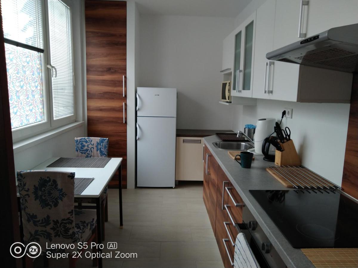 Apartman S Virivkou A Infrasaunou V Olomouci Εξωτερικό φωτογραφία